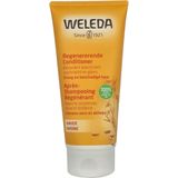 Weleda - Haver - Conditioner - 200 ml - Voedt en hydrateert droog haar