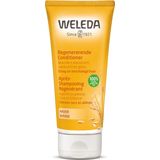Weleda - Haver - Conditioner - 200 ml - Voedt en hydrateert droog haar