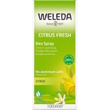 Weleda Lichaamsverzorging Deodorants Citrus Deodorant