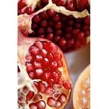 Weleda - Granaatappel Deodorant Roll-On - 50 ml - Zonder Aluminiumzouten