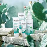WELEDA - 24H Hydraterende Gezichtscrème - Vijgencactus - 30ml - 100% natuurlijk