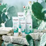 Weleda Vijgencactus 24h Hydraterende Gezichtscrème 30 ml