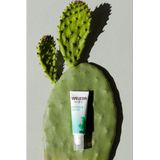 Weleda Vijgencactus Hydraterende Ooggel