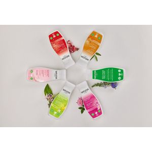 Weleda - Wildrose Pampering Care - Bodymilk - 200ml