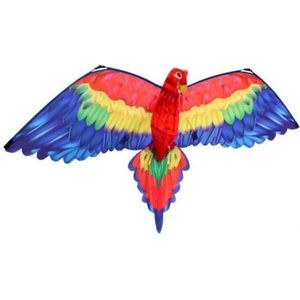 3D Draken Vlieger Gekleurd