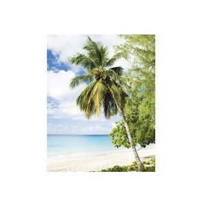 Smart Art Fotobehang Palmboom Strand | Fotobehang