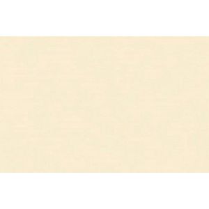 Folia Fotokarton beige 50X70-300G