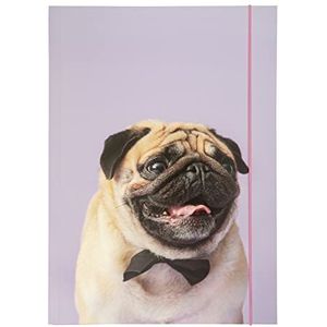 folia 69002 Basic Puggy Love A3-map, gemaakt van stevig karton met elastiek