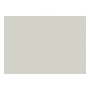 Folia Paper Folia fotokarton 50 x 70 cm licht (25 vel) - Grijs
