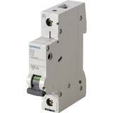Siemens Automat 5SL4106-7 Leitungsschutzschalter 1POL C6