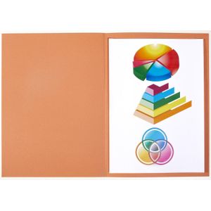 ELBA Aktendeckel DIN A4 orange