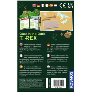 Glow in the Dark T-REX