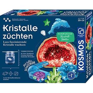 Kristalle züchten - Experimenteerdozen