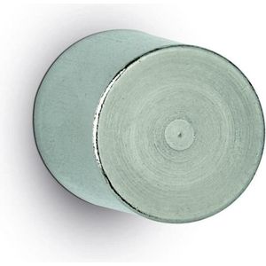 Neodym-Stabgreifmagnet MAUL, Haftkraft 13 kg, 2 Stück, Ø 20 x H 25 mm, Stahlgehäuse, hellsilber