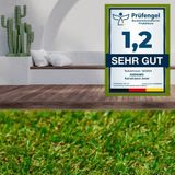 andiamo Kunstgras Jever - Outdoor met antislip achterkant - weerbestendig en onderhoudsvriendelijk - geschikt als balkon tapijt of grastapijt outdoor - eenvoudig te leggen 100 x 200 cm