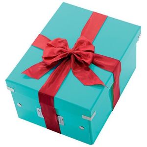 LEITZ Click & Store Aufbewahrungsbox 7,4 l eisblau 21,6 x 28,2 x 16,0 cm