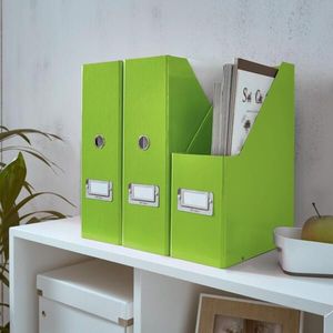 LEITZ® Stehsammler Click + Store, grün