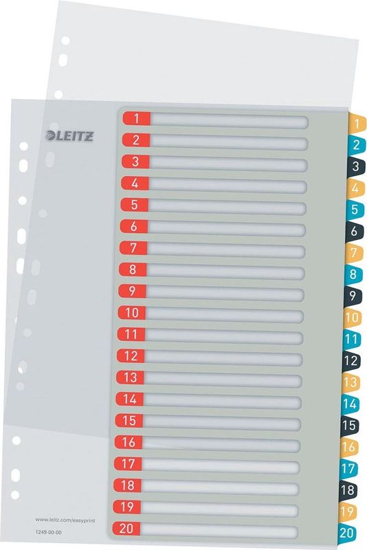 Leitz Cosy PC-beschriftbares Register 1-20, PP