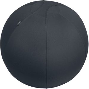 Leitz Ergo Actieve Zitbal - Anti-rol design - 65cm - Donkergrijs