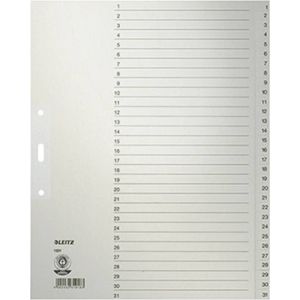 Register A4 1-31 100g qm grau