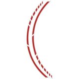 Foliatec PIN STRIPING RACING red