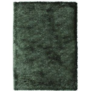 Schöner Wohnen Collection tapijt, polyester, groen, 90 x 160 cm