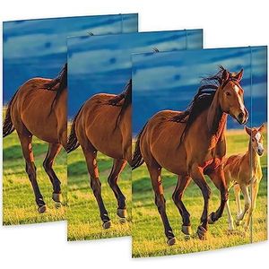 RNK 45353-3 - Tekenmap Vrij Paarden 310 x 440 mm, 3 stuks, DIN A3, met elastieksluiting