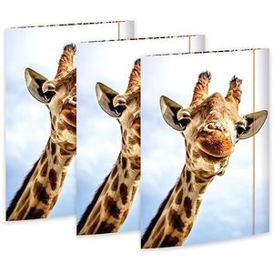 RNK 45359-3 - Tekenmap Safari 310 x 440 mm, 3 stuks, DIN A3, met elastieksluiting