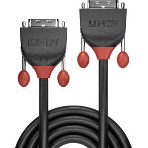LINDY 36256 DVI-D Single Link kabel 2m zwart