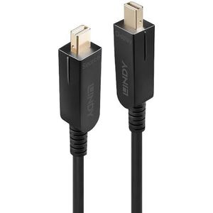 LINDY 38480 DisplayPort-kabel 10 m Mini DisplayPort, zwart