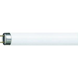 Philips TL-lamp Energielabel: G (A - G) G13 18 W Daglichtwit Buis (Ø x l) 26 mm x 600 mm 10 stuk(s)