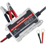 Dino - Power Pack - Acculader - Volautomatisch - 750mAh - Voor 6V & 12V Batterijen