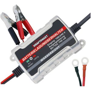 Dino - Power Pack - Acculader - Volautomatisch - 750mAh - Voor 6V & 12V Batterijen