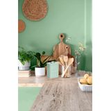 Zeller - Mini Prullenbakje GFT - Mintgroen - Metaal - 1,5 Liter