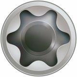 SPAX 538000801205 Vlonderschroef, Cilinderkop, 8 x 120, Fixeerschroefdraad, T-STAR plus T25 - blank - 50 stuks