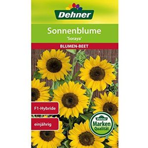 Dehner Soraya bloemenzaad, zonnebloem per 5 stuks (5 x 6 g)