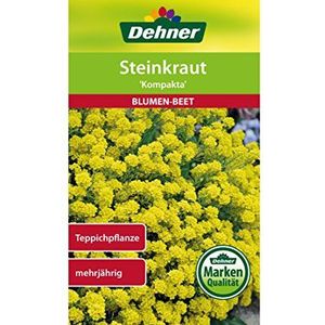 Dehner Compacte bloemzaad, steenkruid, 5-pack (5 x 3 g)