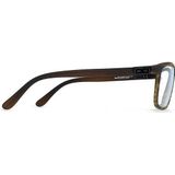 Alpina Pheos S V Photochromic Skibril - Zwart | Categorie 1-2