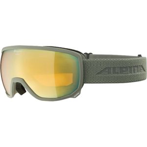 Alpina Scarabeo Q-Lite OTG Skibril - Grijs | Categorie 2