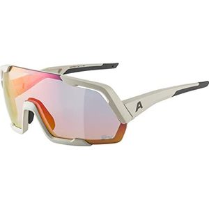 ALPINA Unisex - Volwassenen, ROCKET QV Sportbril, cool-grey matt/rainbow, One Size