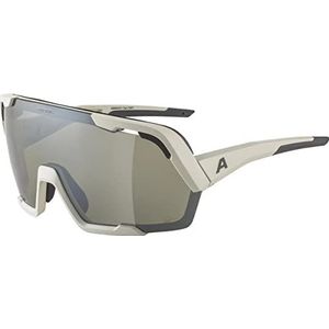 ALPINA Unisex - Volwassenen, ROCKET BOLD Q-LITE Sportbril, cool-grey matt/silver, One Size