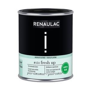 Renaulac Muur- En Plafondverf Intention Fresh Up Extra Mat 125ml | Verf testers