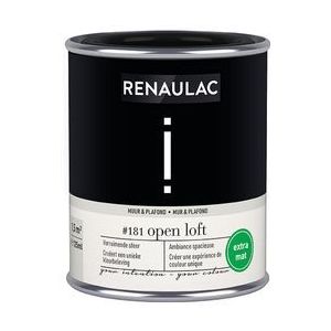 Renaulac Muur- En Plafondverf Intention Open Loft Extra Mat 125ml