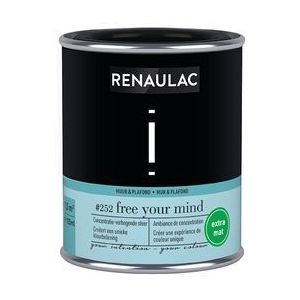 Renaulac Muur- En Plafondverf Intention Free Your Mind Extra Mat 125ml | Verf testers