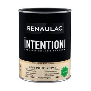 Renaulac Muur- En Plafondverf Intention Calm Down Extra Mat 1l