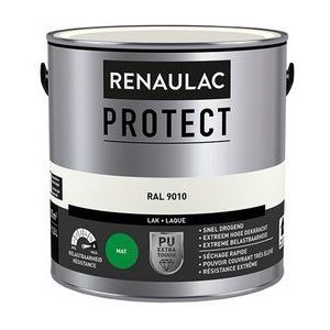 Lak Renaulac Protect Ral9010 Mat 2,5l