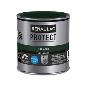 Renaulac Lak Protect Ral6009 Zijdeglans 250ml