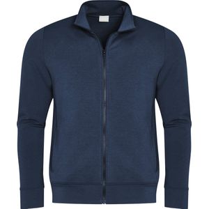Mey nachtjapon blauw, Effen
