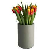 APS - ELEMENT - Flessenkoeler - Groen - Voor 0,7-1,5 Liter Flessen - Ø 12/10 cm, Hoogte 19 cm