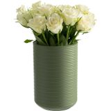 APS Element - Wijnkoeler & Champagnekoeler - Groen - Geïsoleerd